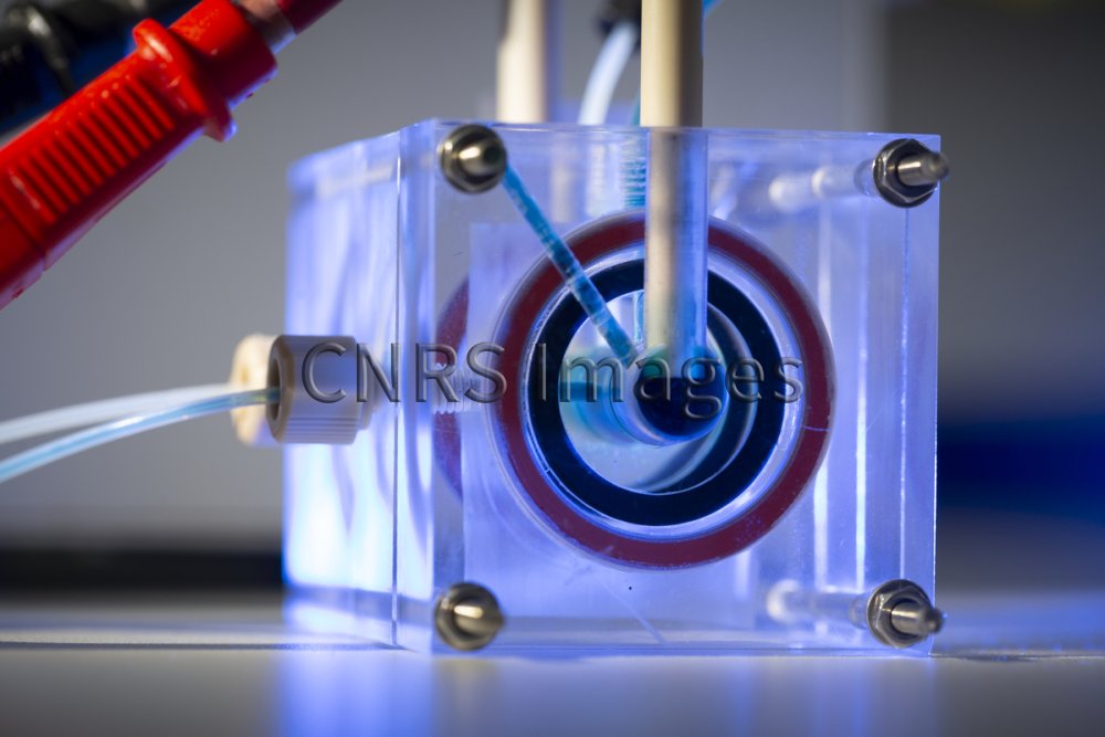 Développement d'une pile enzymatique à flux sans métaux nobles