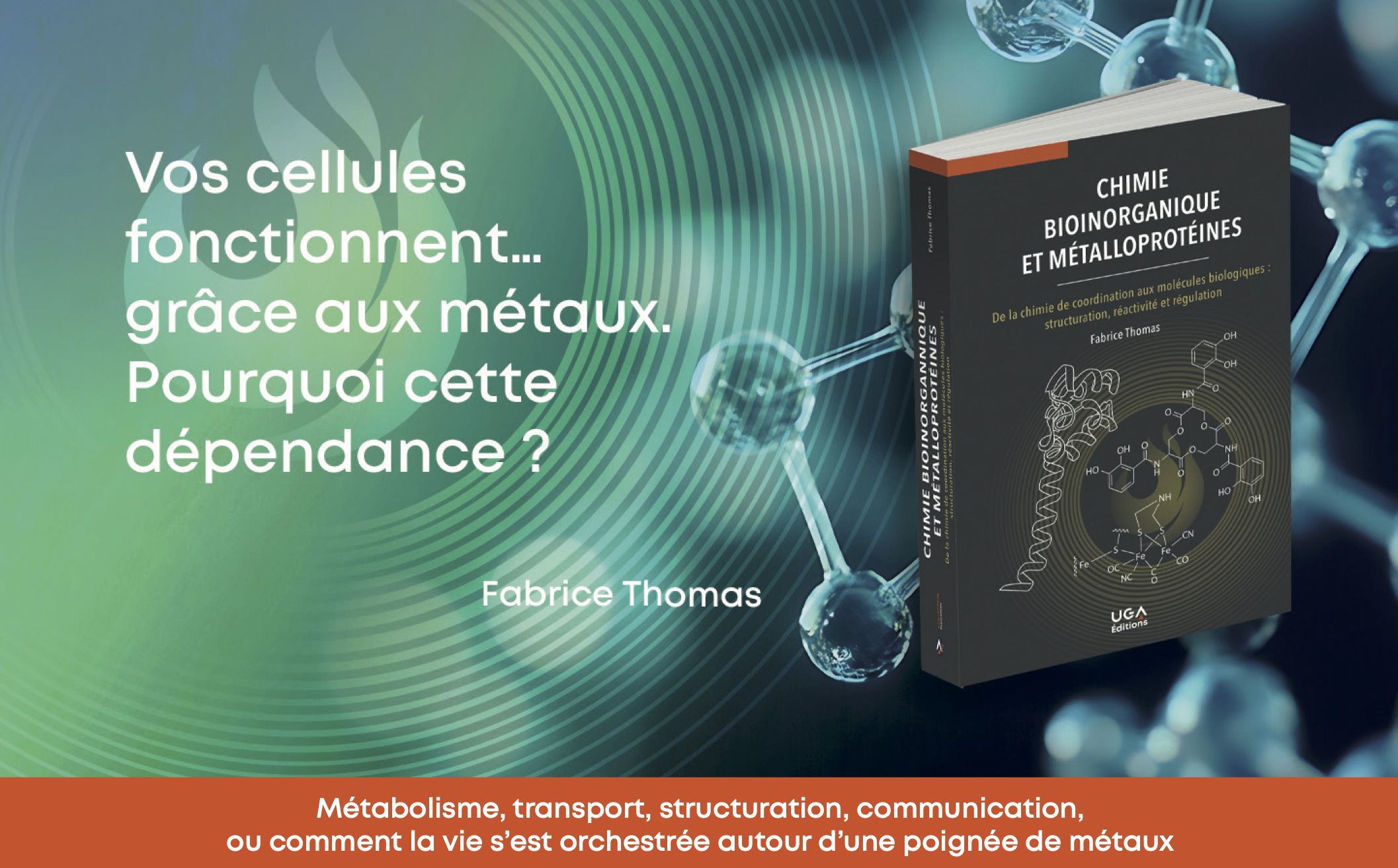 De la chimie de coordination aux molécules biologiques : structuration, réactivité et régulation