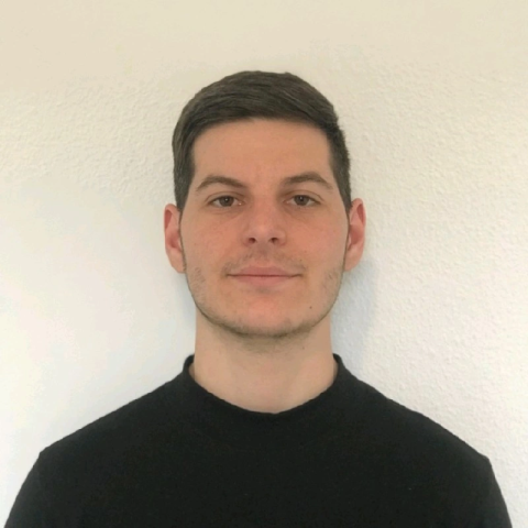 Profile picture for user bianconl